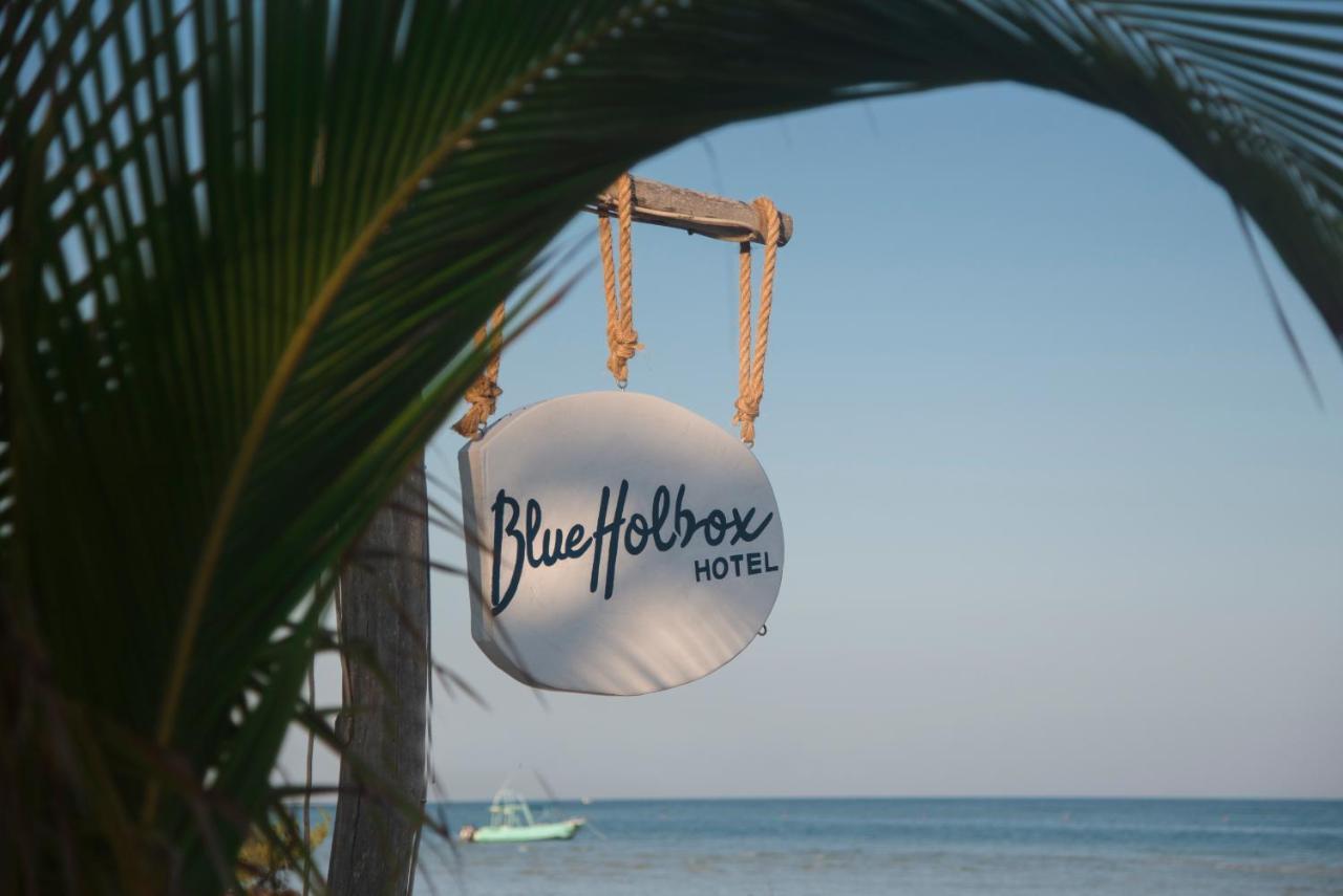 ホテル Blue Holbox エクステリア 写真